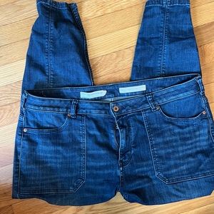Anthropologie A+ Plus Size Jeans 18W